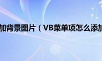 vb窗体添加背景图片（VB菜单项怎么添加图片）