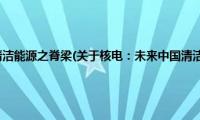 核电：未来中国清洁能源之脊梁(关于核电：未来中国清洁能源之脊梁的简介)