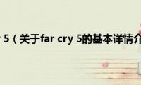 far(cry 5（关于far cry 5的基本详情介绍）)