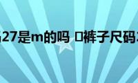 ​裤子尺码27是m的吗(​裤子尺码27是不是m码)