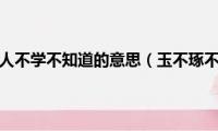 玉不琢不成器人不学不知道的意思（玉不琢不成器人不学不知道解释）