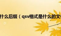 qsv是什么后缀（qsv格式是什么的文件）