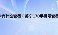 苏宁170手机卡有什么套餐（苏宁170手机号套餐资费详情）