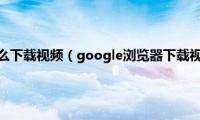 谷歌浏览器怎么下载视频（google浏览器下载视频的步骤）