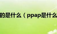 ppap指的是什么（ppap是什么进程）