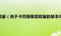 卡巴斯基实验室（关于卡巴斯基实验室的基本详情介绍）