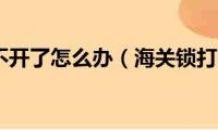 海关锁打不开了怎么办（海关锁打不开的解决方法）