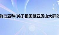 根田鼠亚历山大群岛亚种(关于根田鼠亚历山大群岛亚种的简介)