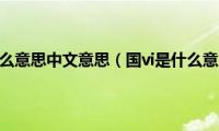 国vi什么意思中文意思（国vi是什么意思）