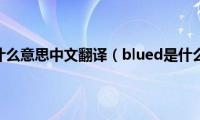 blued是什么意思中文翻译（blued是什么意思）