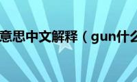 gun什么意思中文解释（gun什么意思）