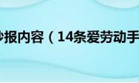 爱劳动手抄报内容（14条爱劳动手抄句子）