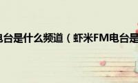 虾米fm电台是什么频道（虾米FM电台是什么）