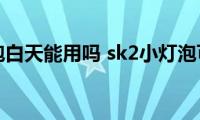 sk2小灯泡白天能用吗(sk2小灯泡可以白天使用吗)