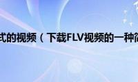 怎么下flv格式的视频（下载FLV视频的一种简便方法）