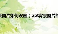 ppt幻灯片背景图片如何设置（ppt背景图片的设置步骤）