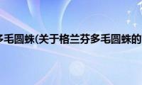 格兰芬多毛圆蛛(关于格兰芬多毛圆蛛的简介)