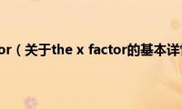 the(x factor（关于the x factor的基本详情介绍）)