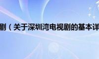 深圳湾电视剧（关于深圳湾电视剧的基本详情介绍）