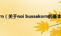 noi(bussakorn（关于noi bussakorn的基本详情介绍）)