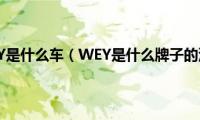 车标WEY是什么车（WEY是什么牌子的汽车）