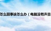 电脑没有声音是怎么回事该怎么办（电脑没有声音是怎么回事）