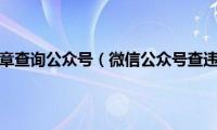 微信违章查询公众号（微信公众号查违章）