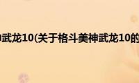 格斗美神武龙10(关于格斗美神武龙10的简介)