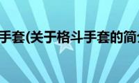 格斗手套(关于格斗手套的简介)