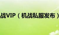 机战VIP（机战私服发布）