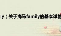 海马family（关于海马family的基本详情介绍）