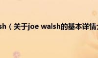 joe(walsh（关于joe walsh的基本详情介绍）)