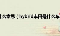 hybrid是什么意思（hybrid丰田是什么车多少钱）