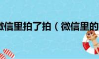 怎么设置微信里拍了拍（微信里的拍了拍怎么设置）