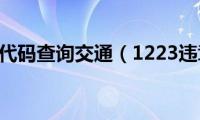 1223违章代码查询交通（1223违章代码）