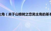 山楂树之恋男主角（关于山楂树之恋男主角的基本详情介绍）