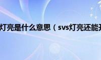 汽车svs灯亮是什么意思（svs灯亮还能开吗）