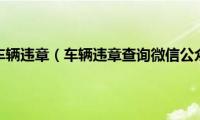 微信查车辆违章（车辆违章查询微信公众号）