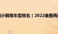 十大平民两厢小钢炮车型排名（2022谁是两厢车之王）