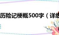 汤姆索亚历险记梗概500字（详细内容）