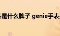 genie手表是什么牌子(genie手表是什么牌子多少钱)