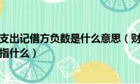 财务费用利息支出记借方负数是什么意思（财务费用利息支出记借方负数指什么）