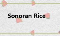 Sonoran(Rice)