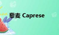 藜麦(Caprese)