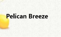 Pelican(Breeze)