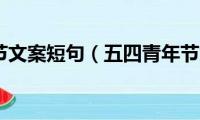 五四青年节文案短句（五四青年节文案短语精选）