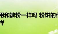 粉饼的作用和散粉一样吗(粉饼的作用是不是和散粉一样)