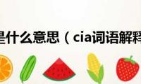 cia是什么意思（cia词语解释）