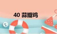 40(蒜瓣鸡)