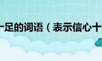 表示信心十足的词语（表示信心十足的词语是什么）